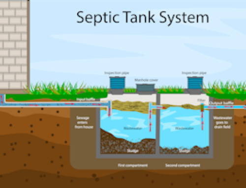 How Does A Septic Tank Work: Process, Types, and Cost Explained